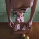 Outstanding works of nude photography by David Dubnitskiy (437 photos) P287 No.45ce23