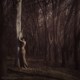 Outstanding works of nude photography by David Dubnitskiy (437 photos) P352 No.21b0c5