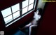 Koharu Suzuki - Usa Download Bokep P5 No.cf09de